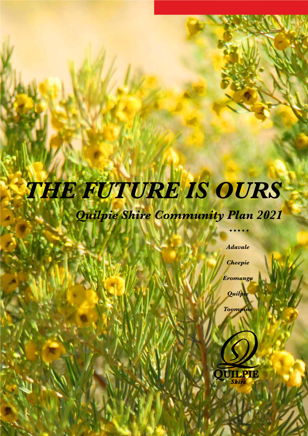 Quilpie Shire Council Community Plan 2011-2021