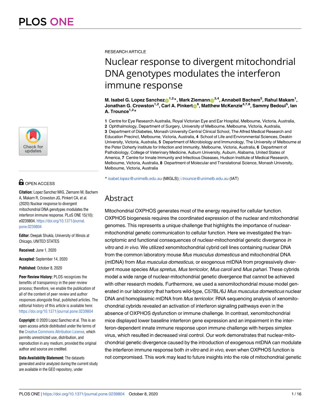 Nuclear Response to Divergent Mitochondrial DNA Genotypes Modulates the Interferon Immune Response