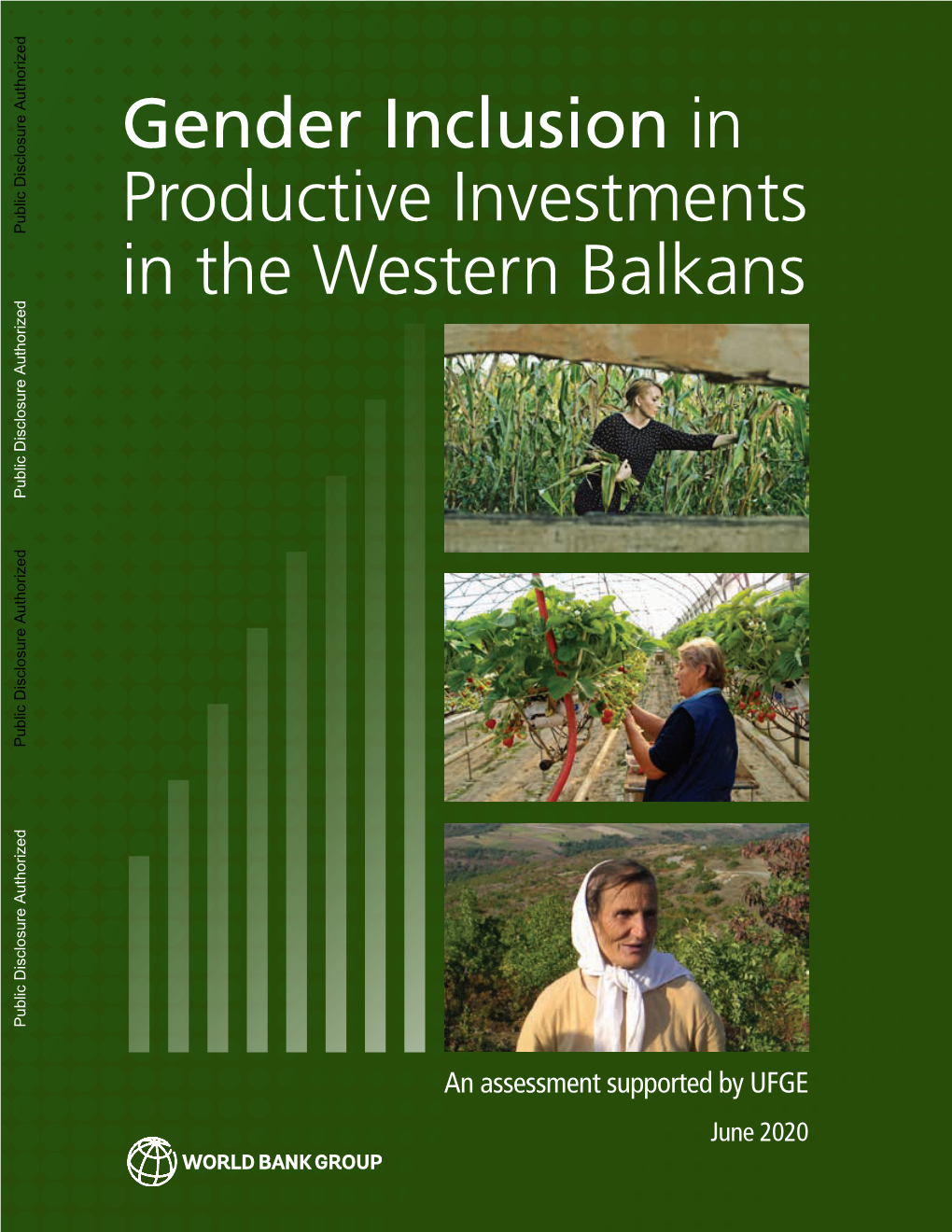 Gender Inclusion in Productive Investments in the Western Balkans