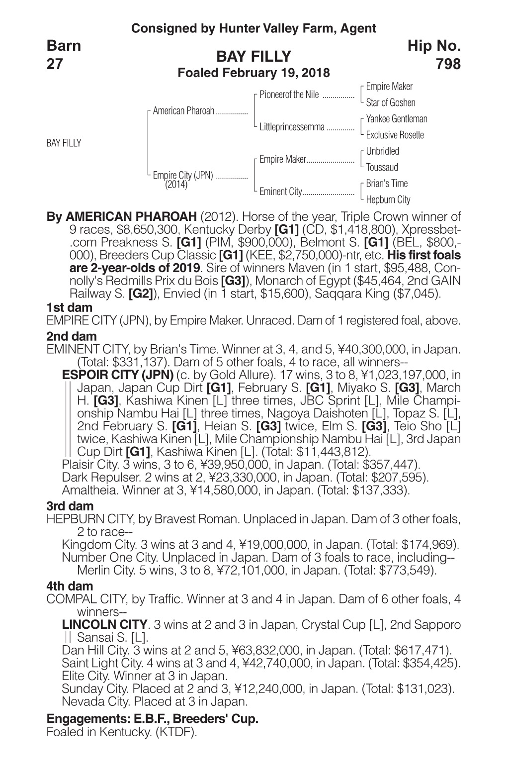 BAY FILLY Barn 27 Hip No