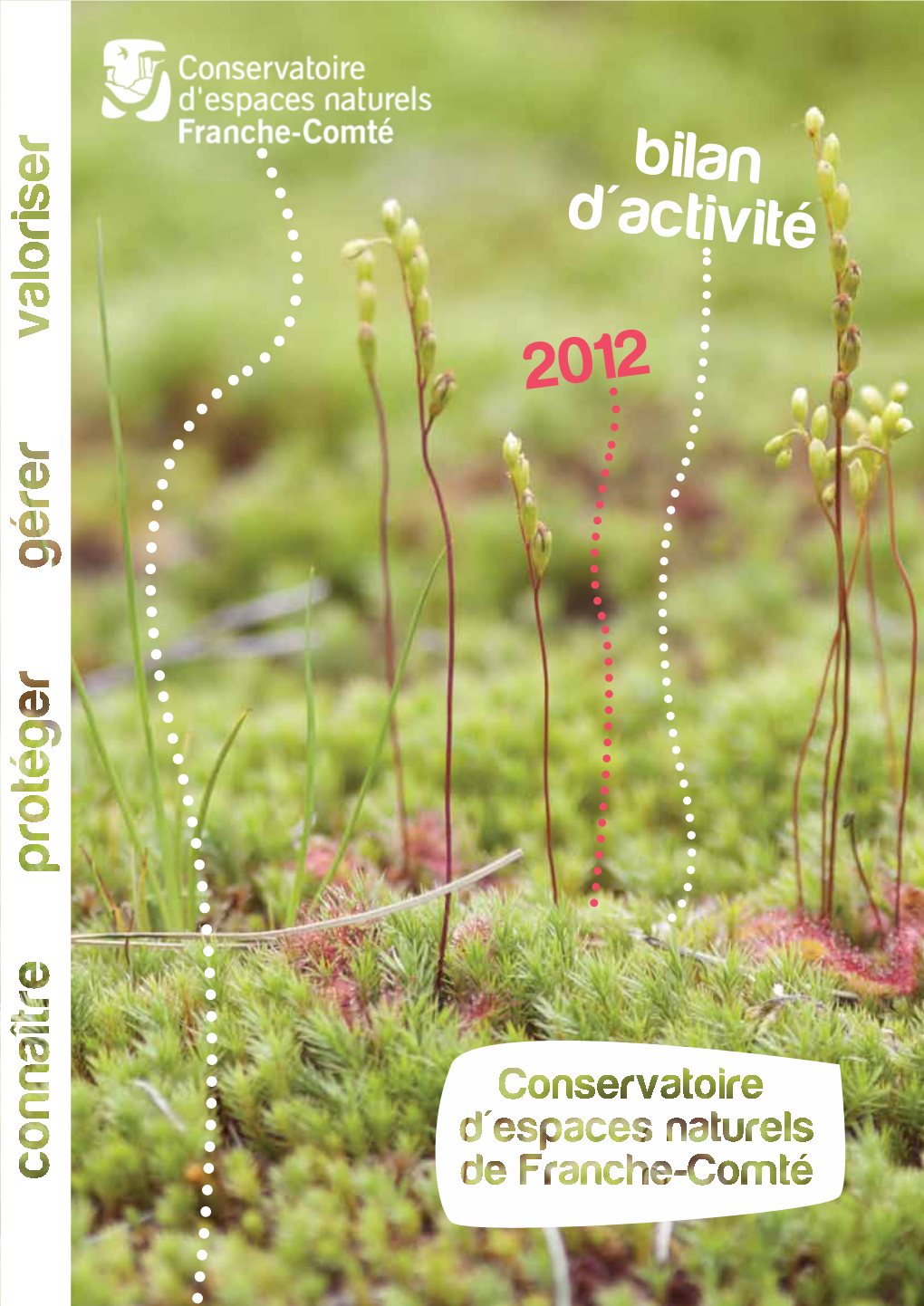 Bilan D'activité 2012 Du