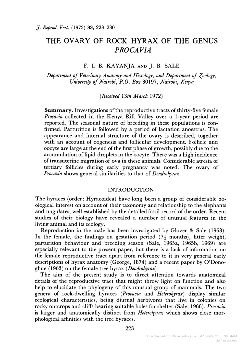 The Ovary of Rock Hyrax of the Genus Procavia