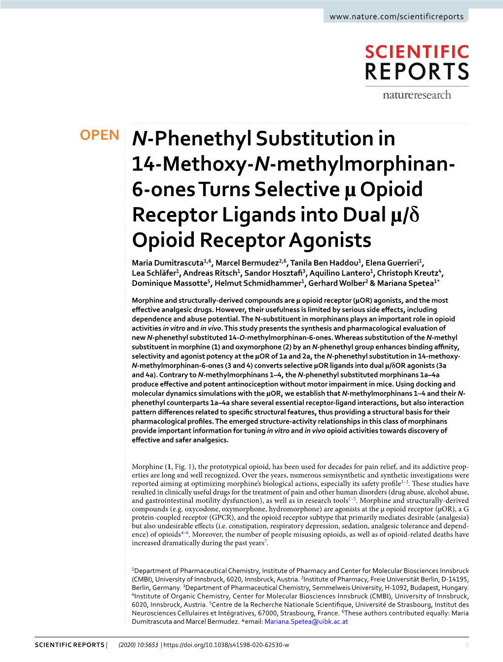 N-Phenethyl Substitution in 14-Methoxy-N-Methylmorphinan