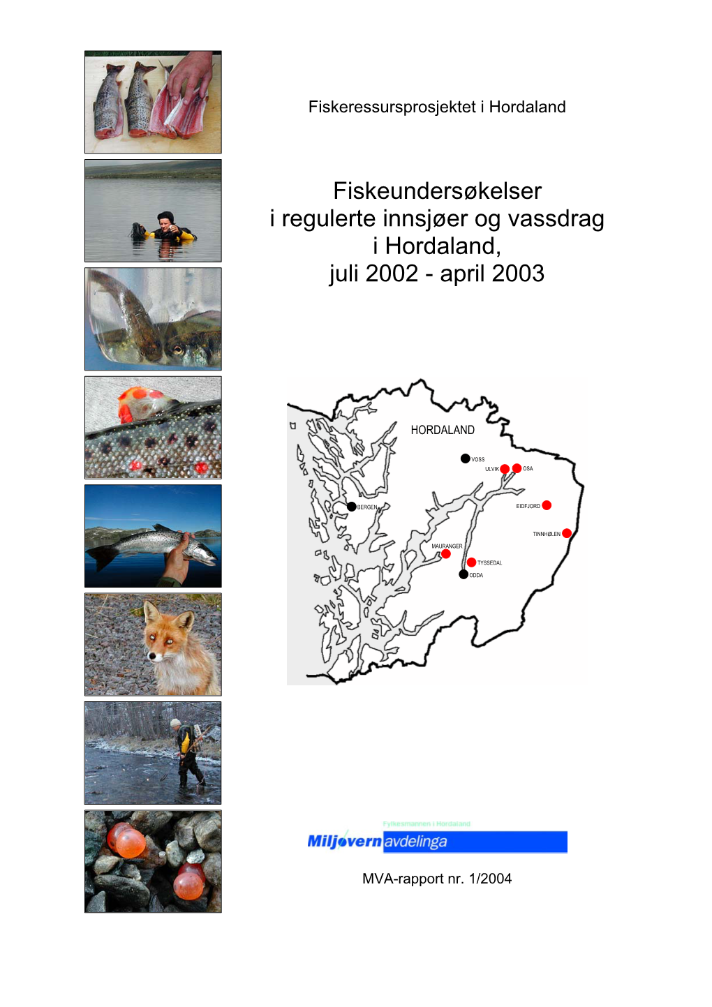 Fiskeundersøkelser I Regulerte Innsjøer Og Vassdrag I Hordaland, Juli 2002 - April 2003