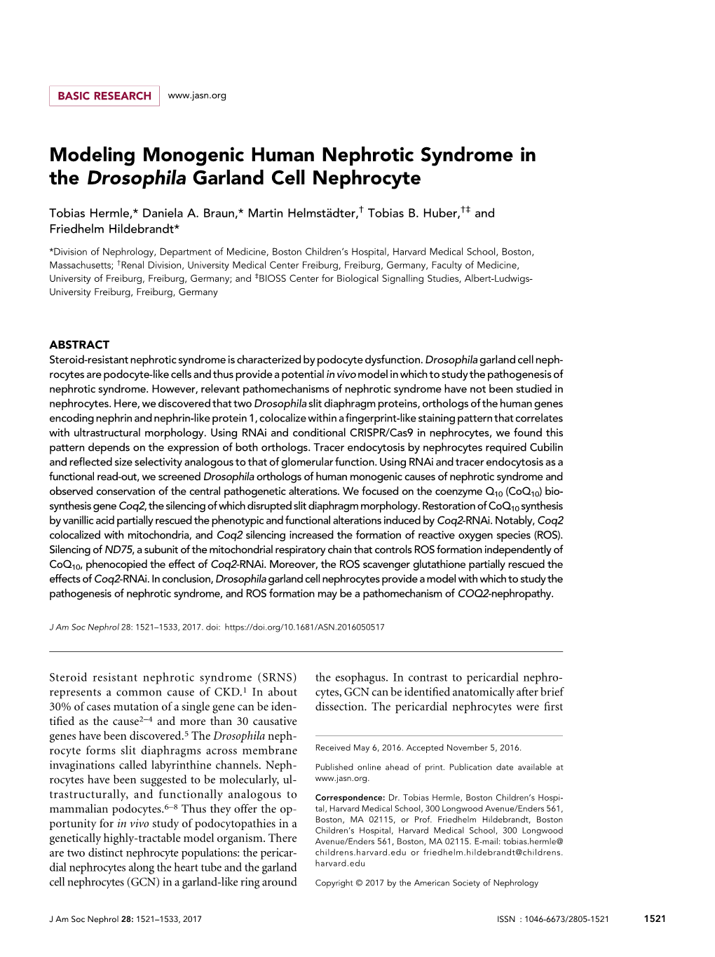 Modeling Monogenic Human Nephrotic Syndrome in the Drosophila Garland Cell Nephrocyte