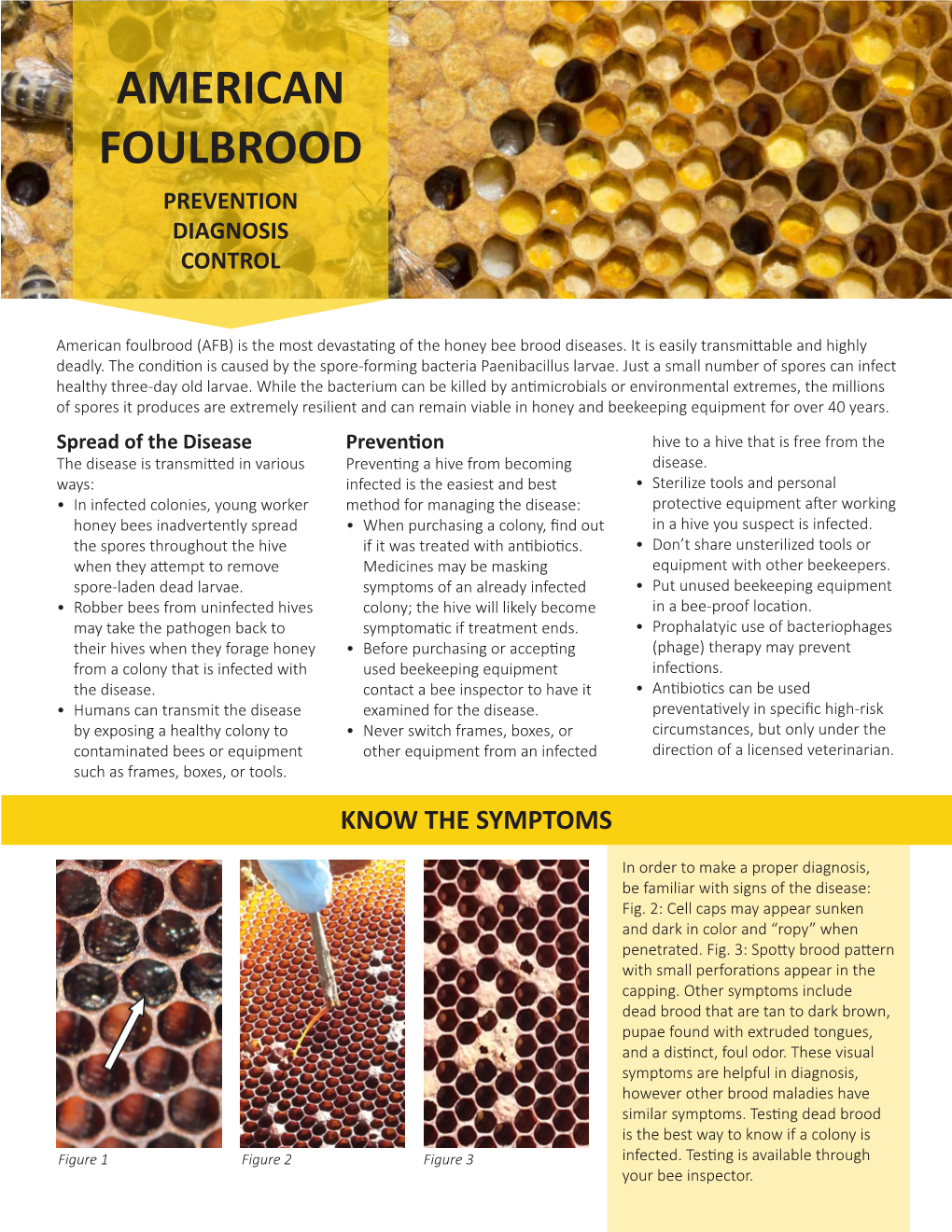 American Foulbrood Prevention Diagnosis Control