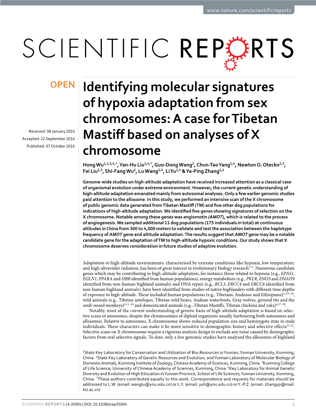 A Case for Tibetan Mastiff Based on Analyses of X Chromosome