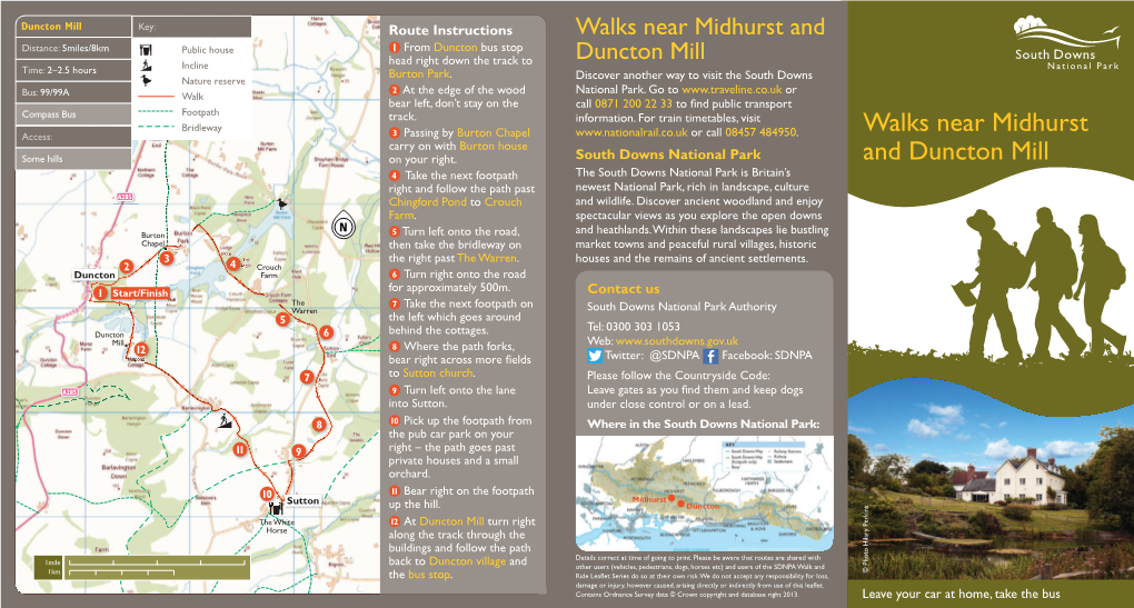 South Downs Walks Near Midhurst and Duncton Mill