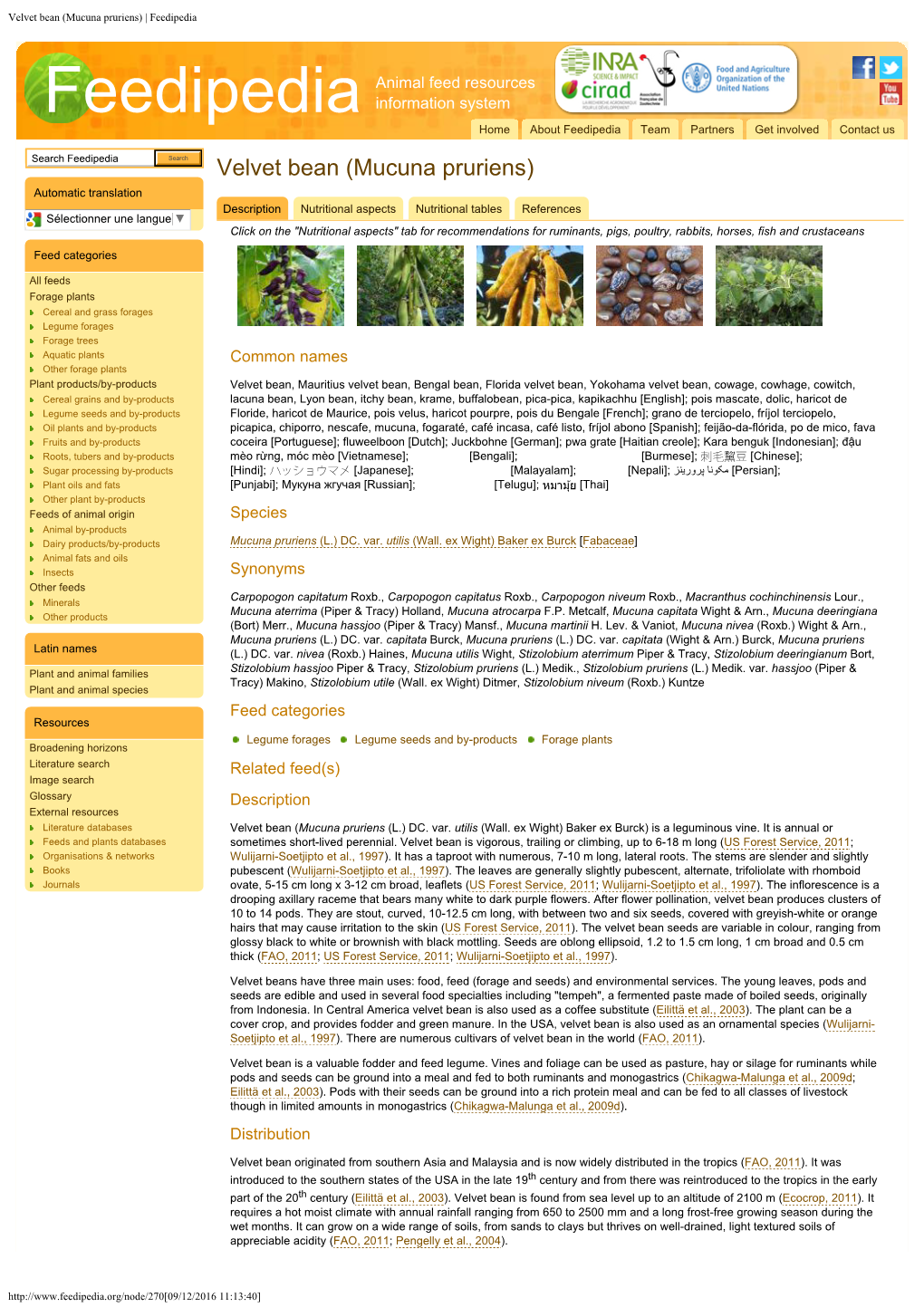 Velvet Bean (Mucuna Pruriens) | Feedipedia