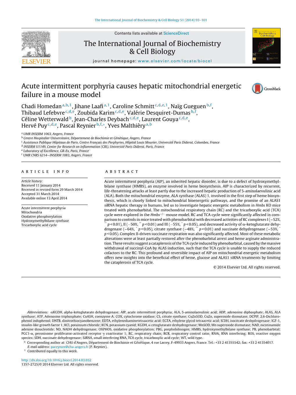 Acute Intermittent Porphyria Causes Hepatic Mitochondrial Energetic