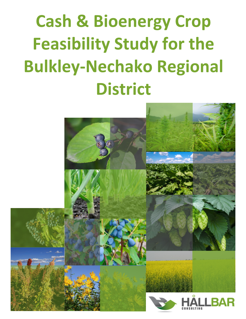 Cash & Bioenergy Crop Feasibility Study Final Report