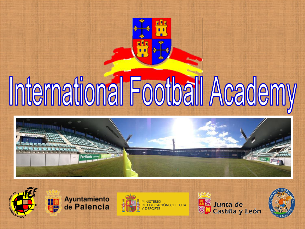 International Football Academy