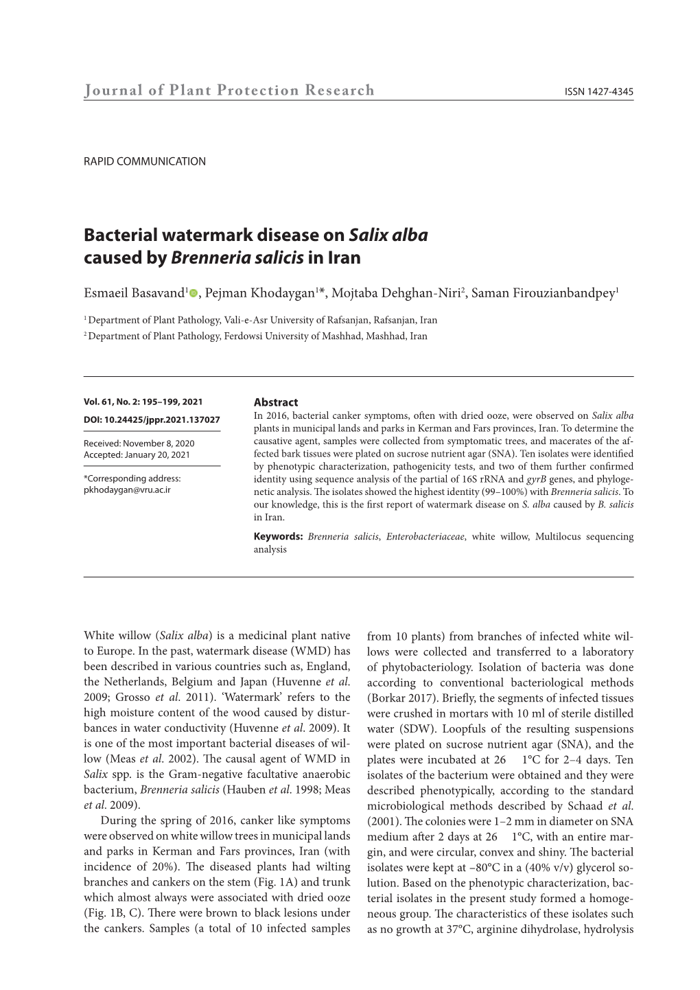 Bacterial Watermark Disease on Salix Alba Caused by Brenneria Salicis in Iran