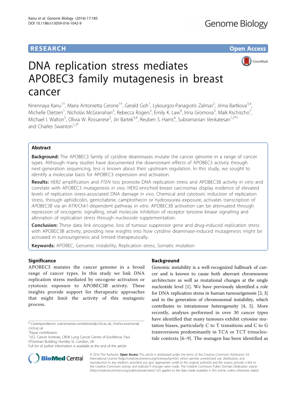 DNA Replication Stress Mediates APOBEC3 Family Mutagenesis In