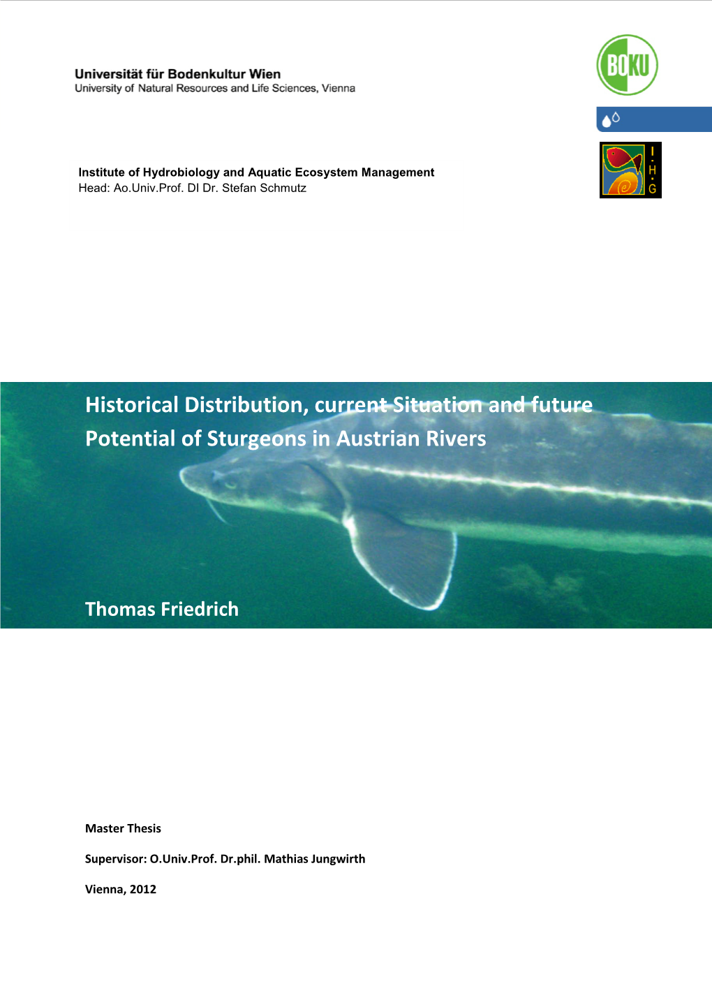 Historical Distribution, Current Situation and Future Potential of Sturgeons in Austrian Rivers