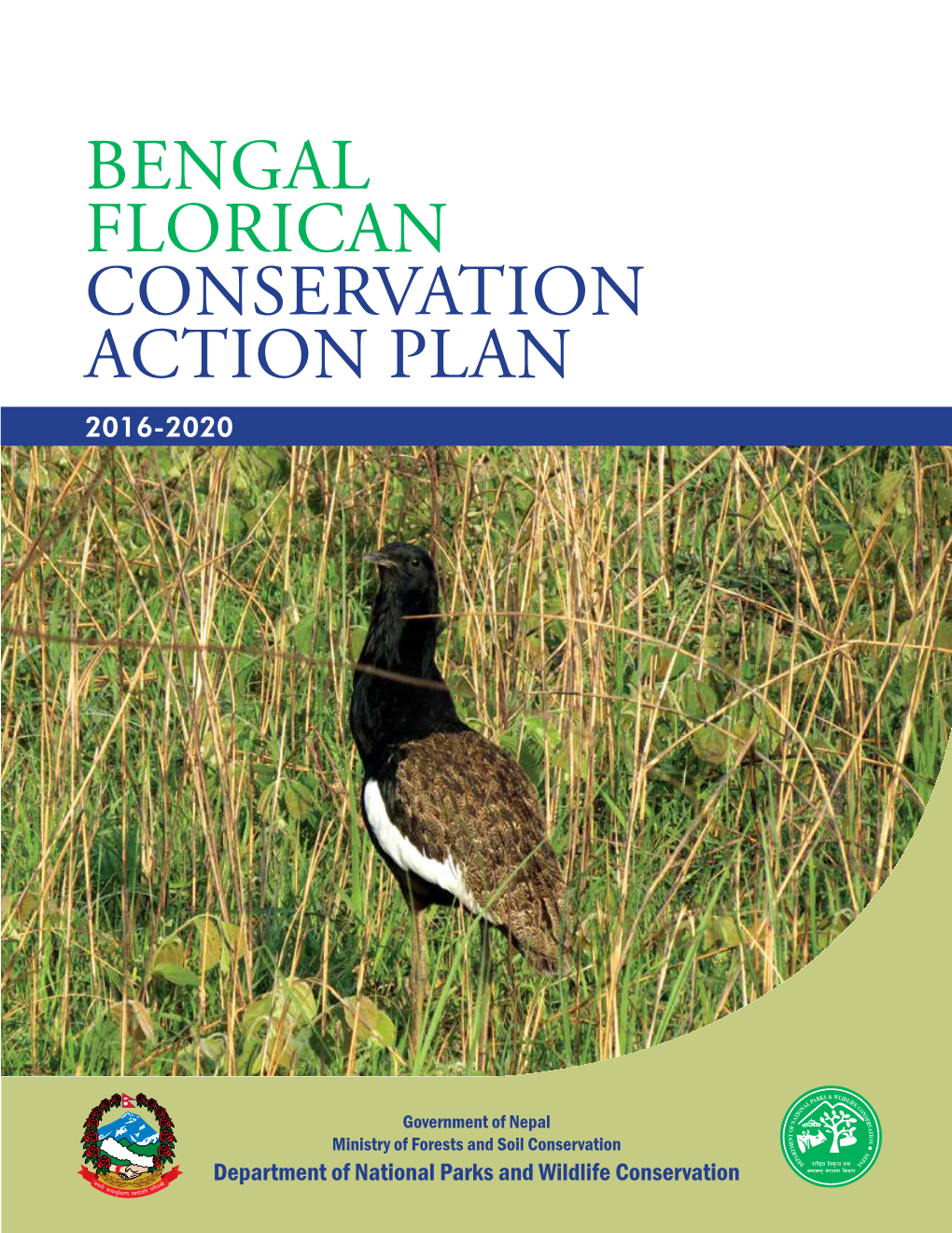 Bengal Florican Conservation Action Plan 2016-2020