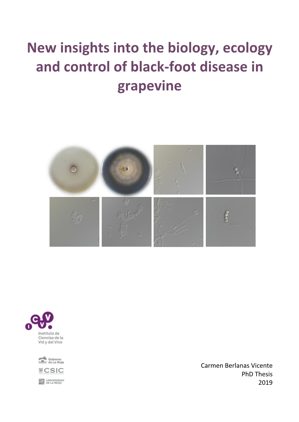 New Insights Into the Biology, Ecology and Control of Black-Foot Disease in Grapevine