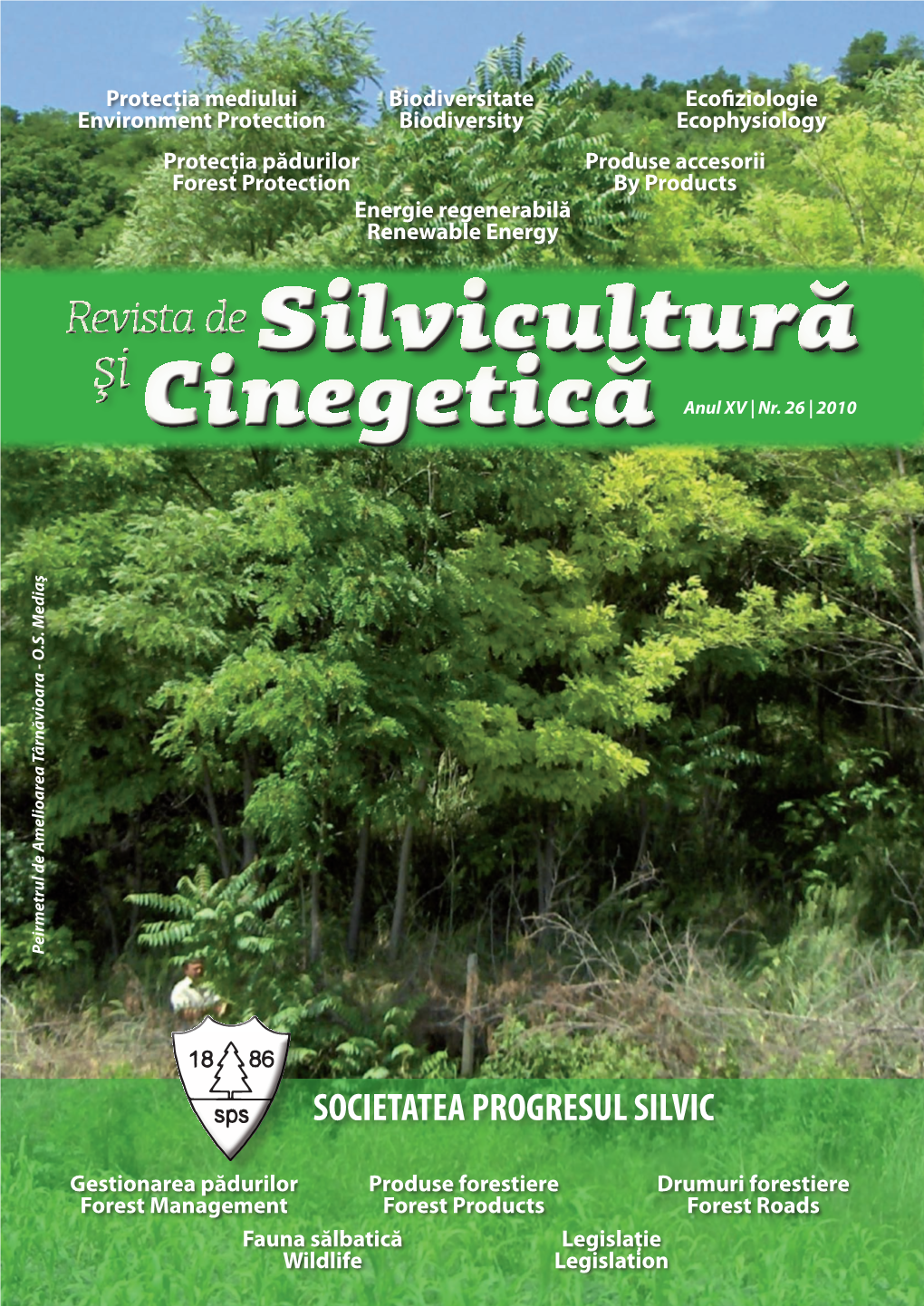 Produsele Forestiere Accesorii Un “Trend” Ascensional În Asigurarea CS I Dr