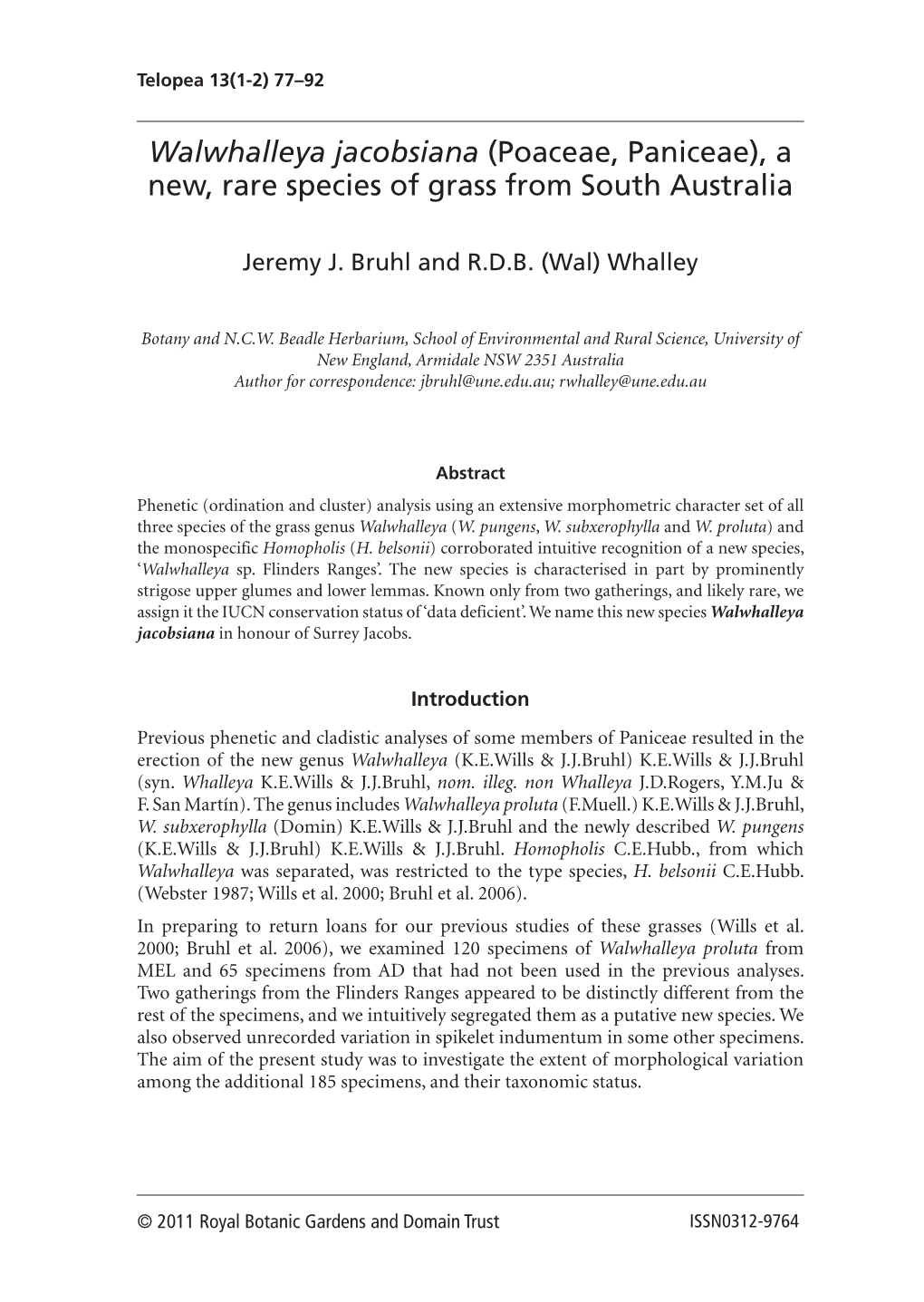 Poaceae, Paniceae), a New, Rare Species of Grass from South Australia