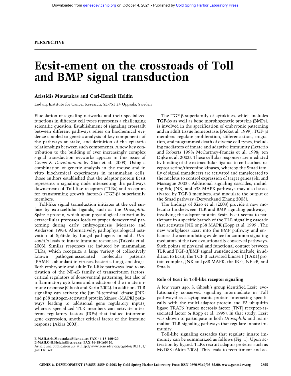 Ecsit-Ement on the Crossroads of Toll and BMP Signal Transduction
