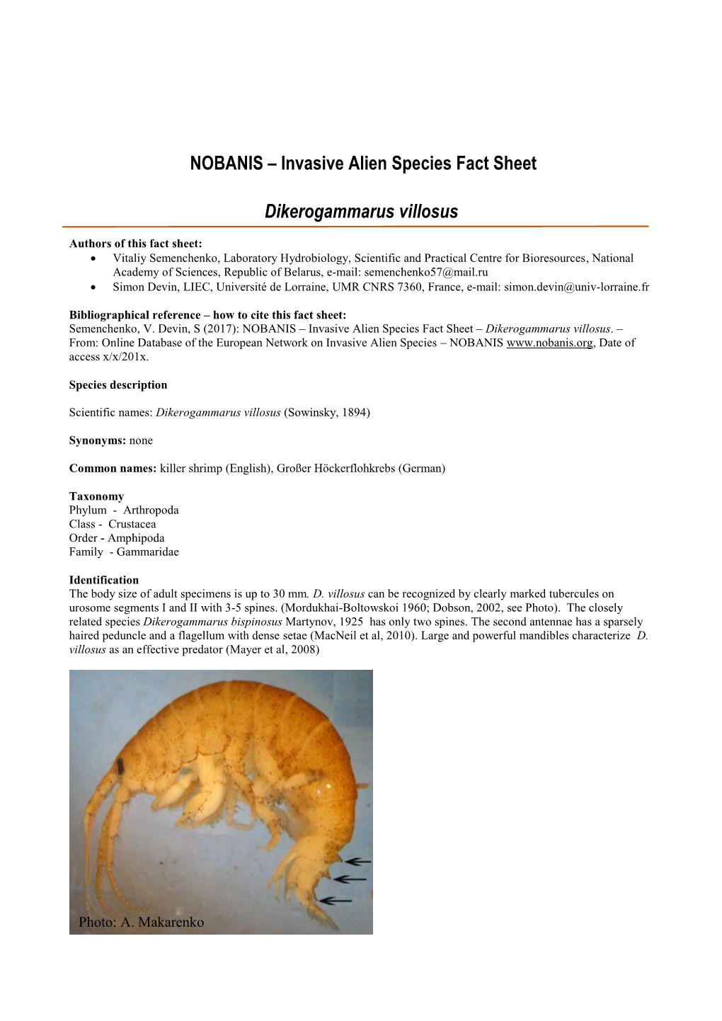 Invasive Alien Species Fact Sheet Dikerogammarus Villosus