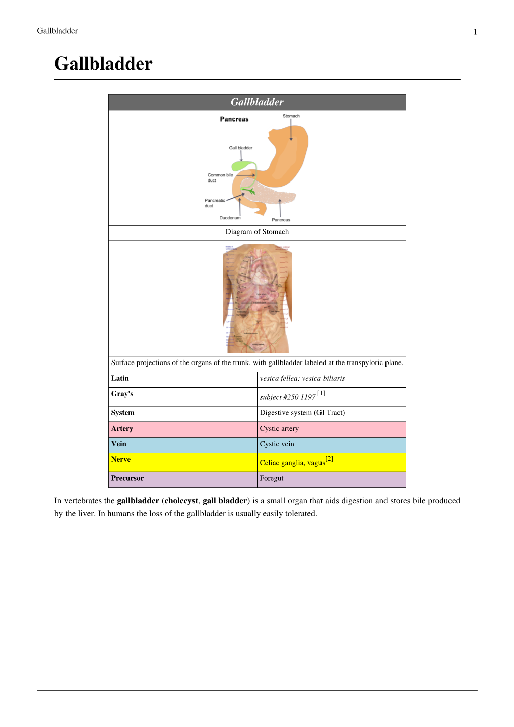 Gallbladder 1 Gallbladder