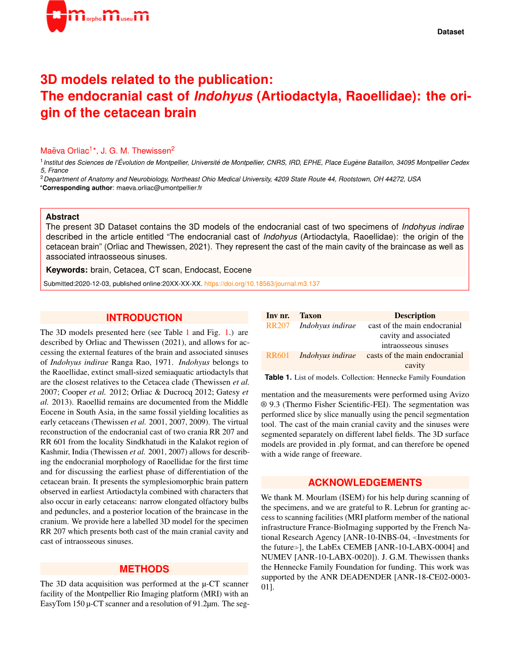 The Endocranial Cast of Indohyus (Artiodactyla, Raoellidae): the Ori- Gin of the Cetacean Brain