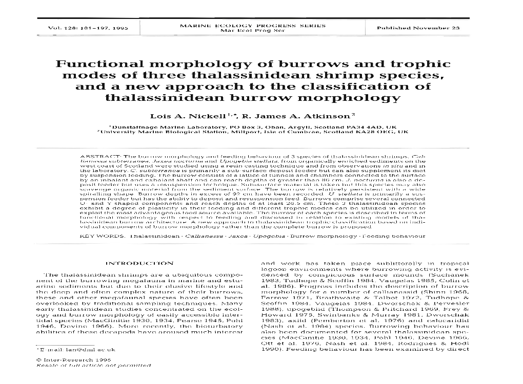 Functional Morphology of Burrows and Trophic Modes of Three