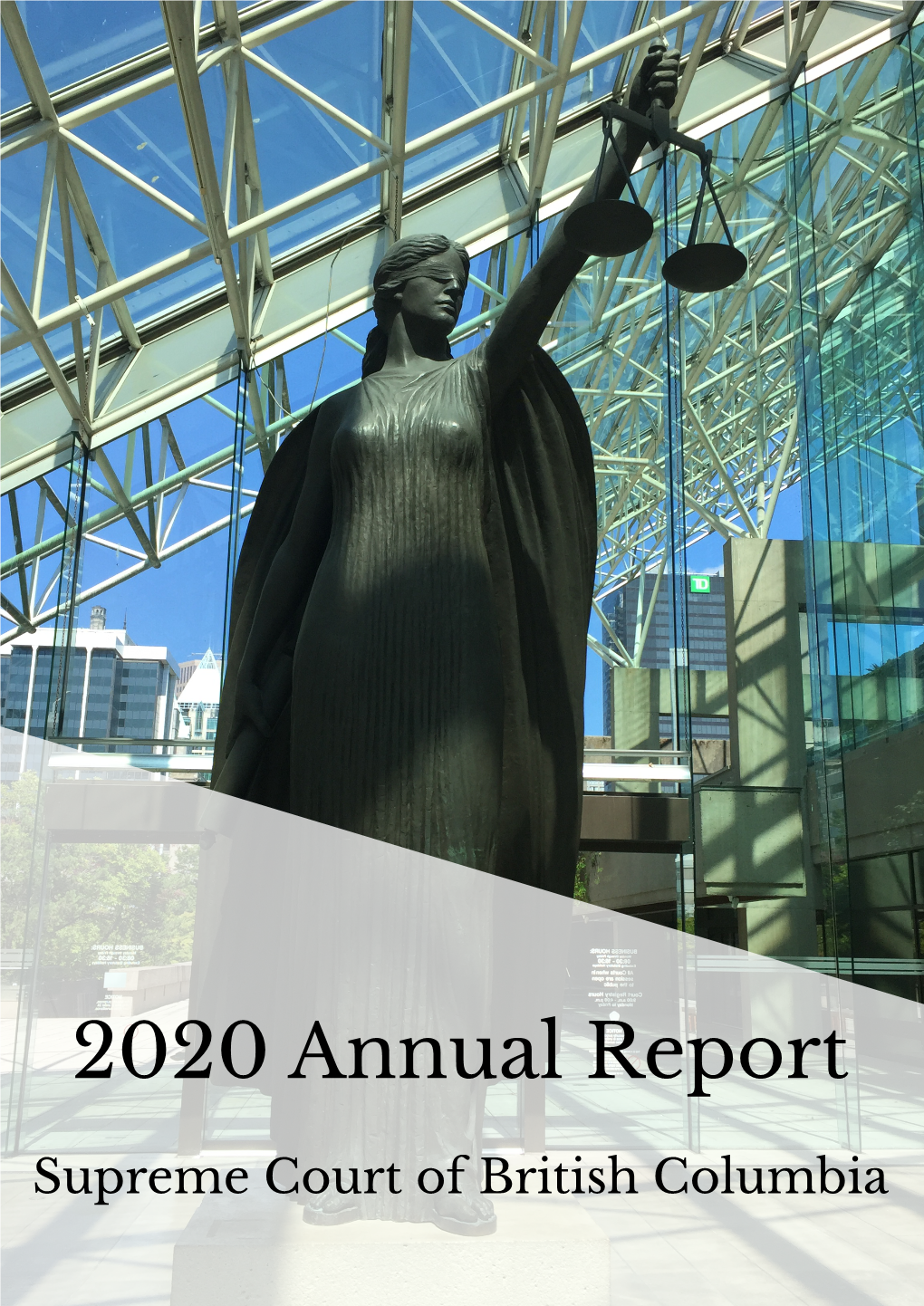 2020 Annual Report