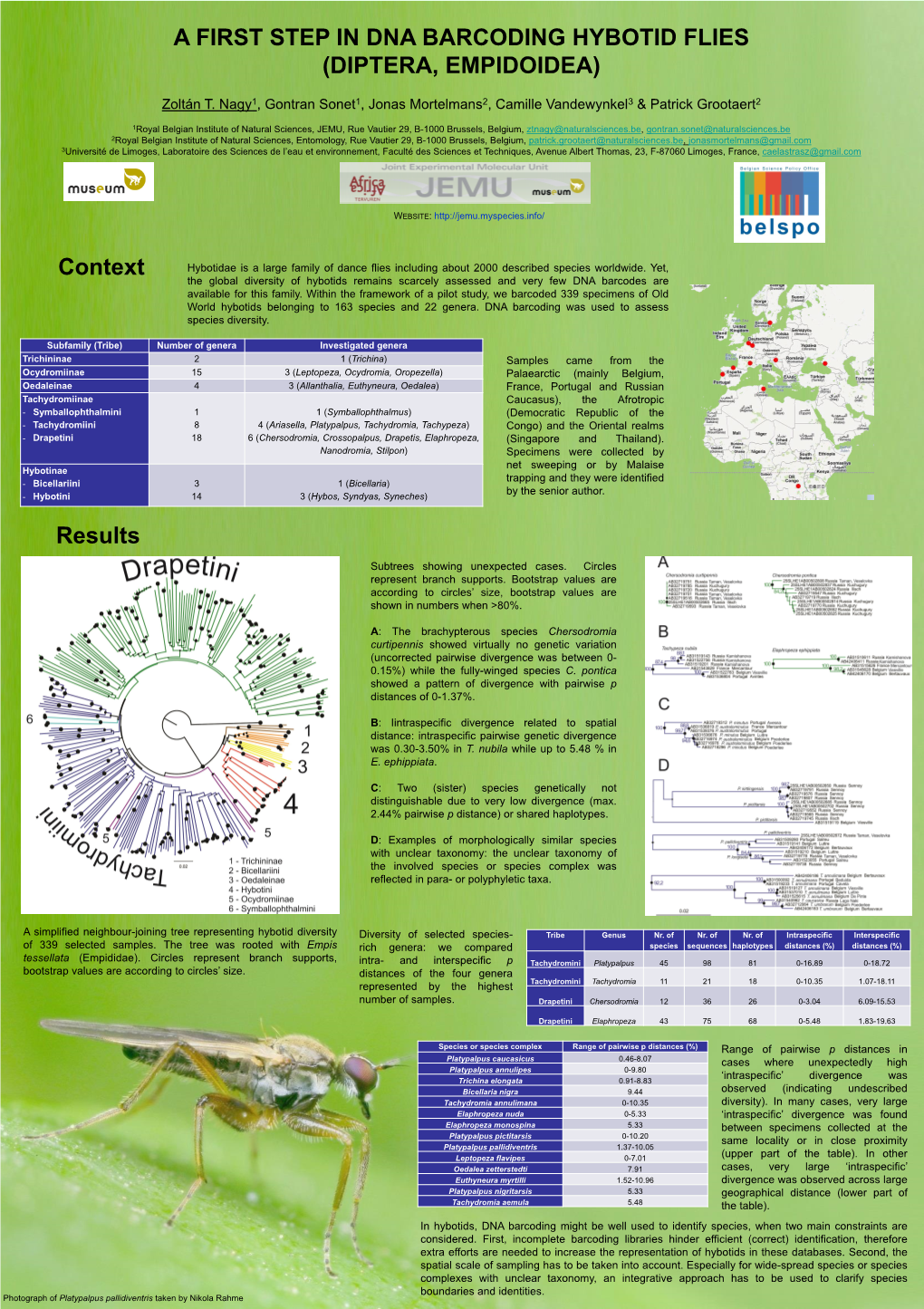 A FIRST STEP in DNA BARCODING HYBOTID FLIES (DIPTERA, EMPIDOIDEA) Context Results