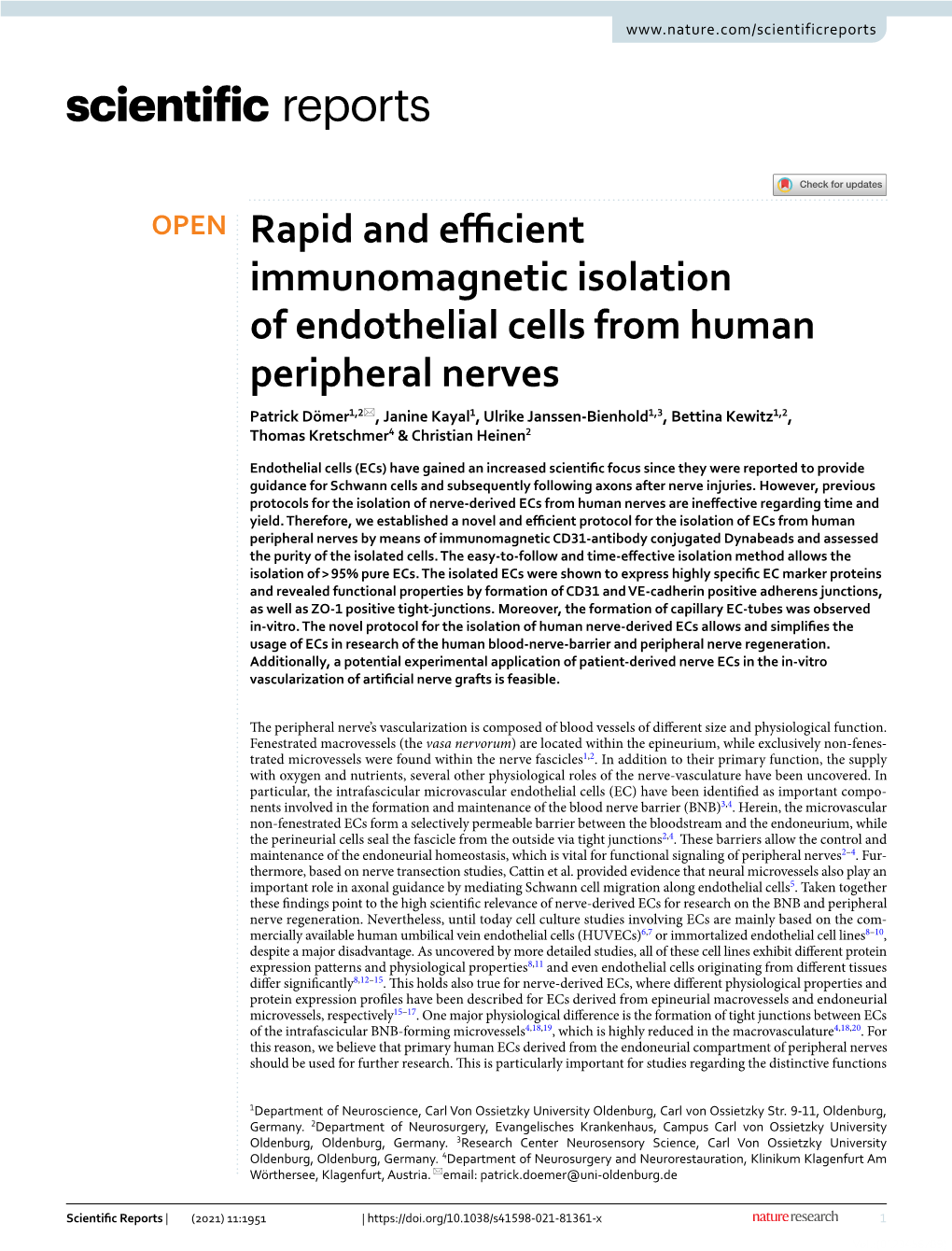 Rapid and Efficient Immunomagnetic Isolation of Endothelial Cells From