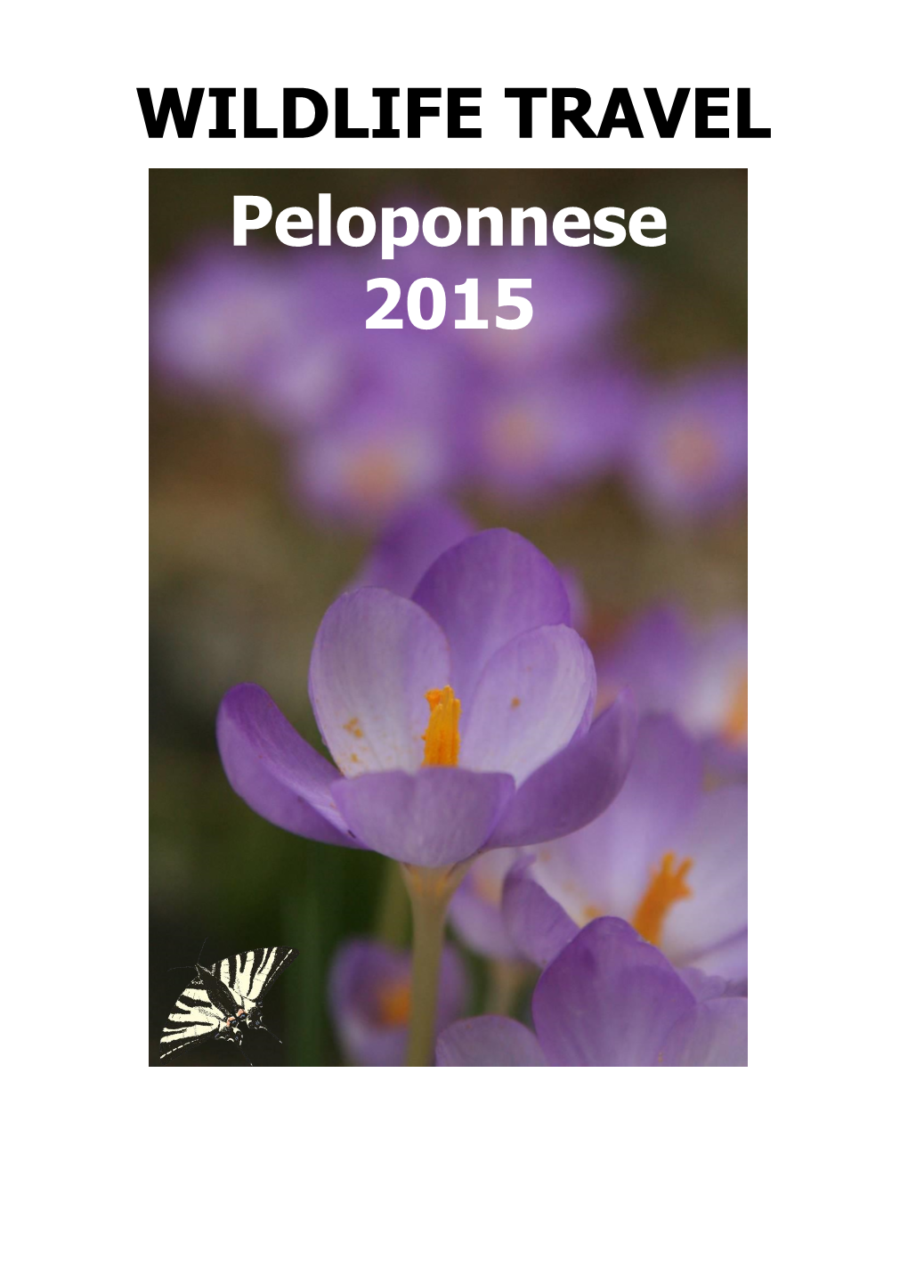 WILDLIFE TRAVEL Peloponnese 2015