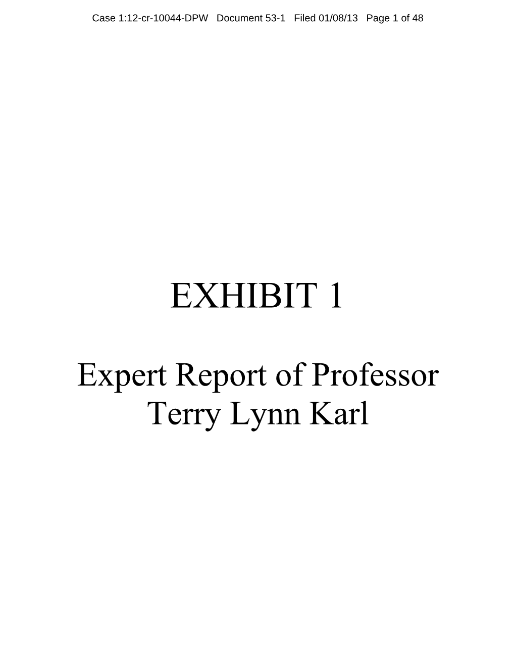 Expert Report of Professor Terry Lynn Karl, Stanford University