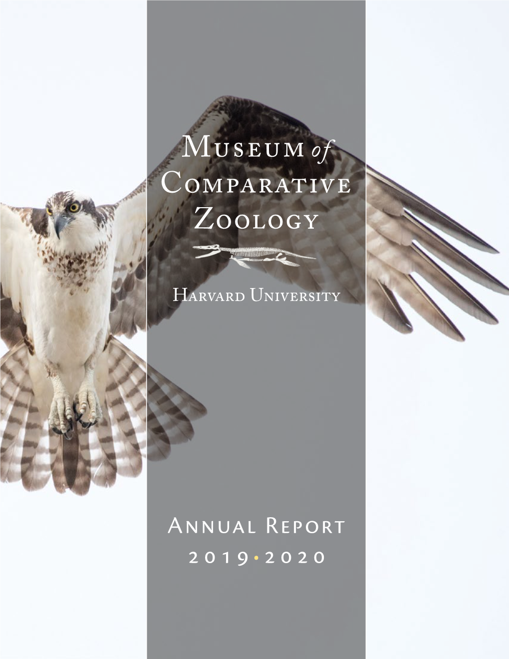 MCZ Annual Report