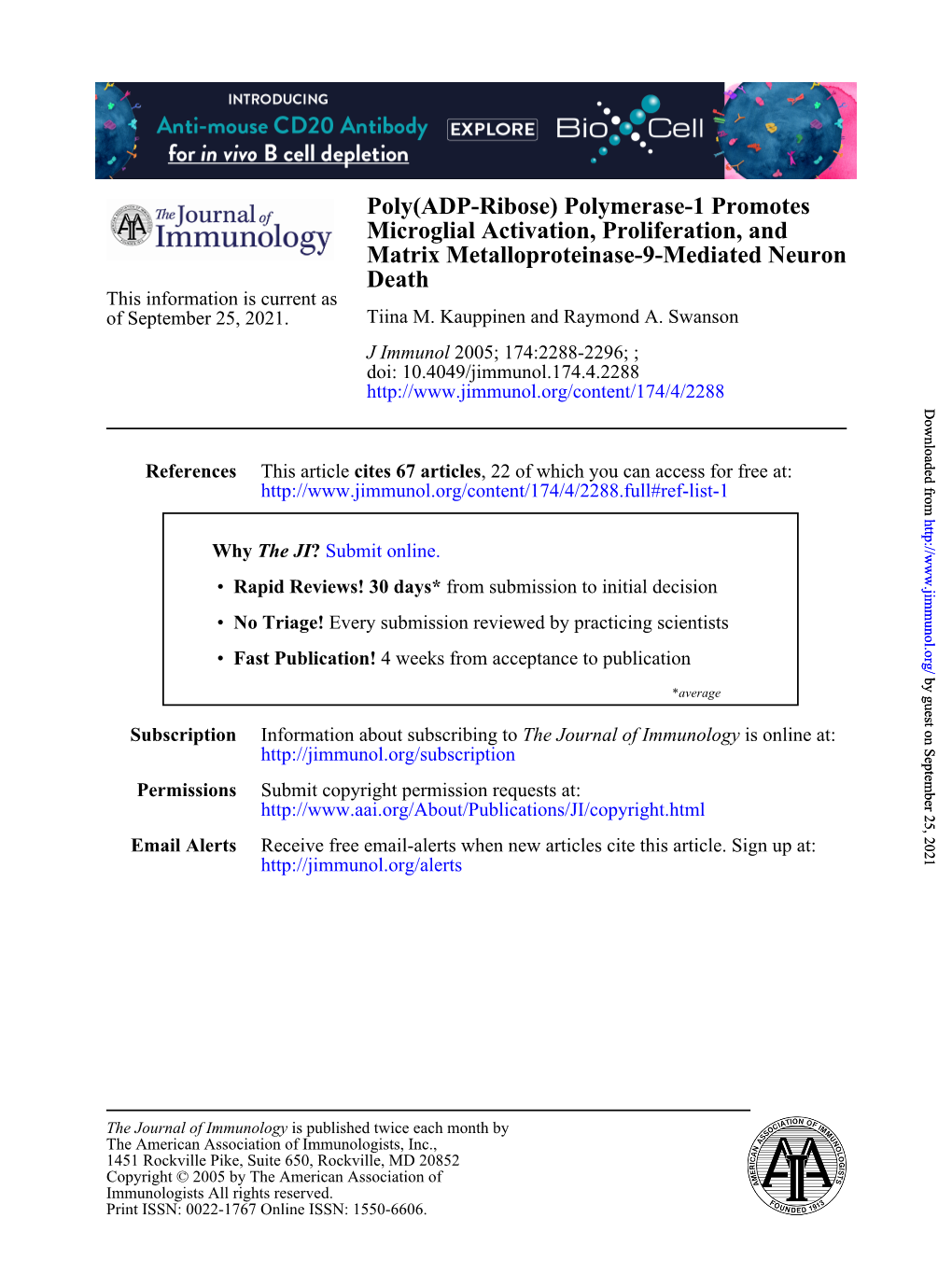 Death Matrix Metalloproteinase-9-Mediated