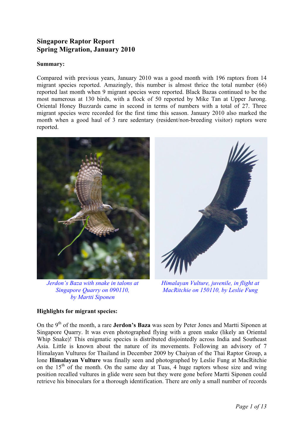 Singapore Raptor Report Spring Migration, January 2010