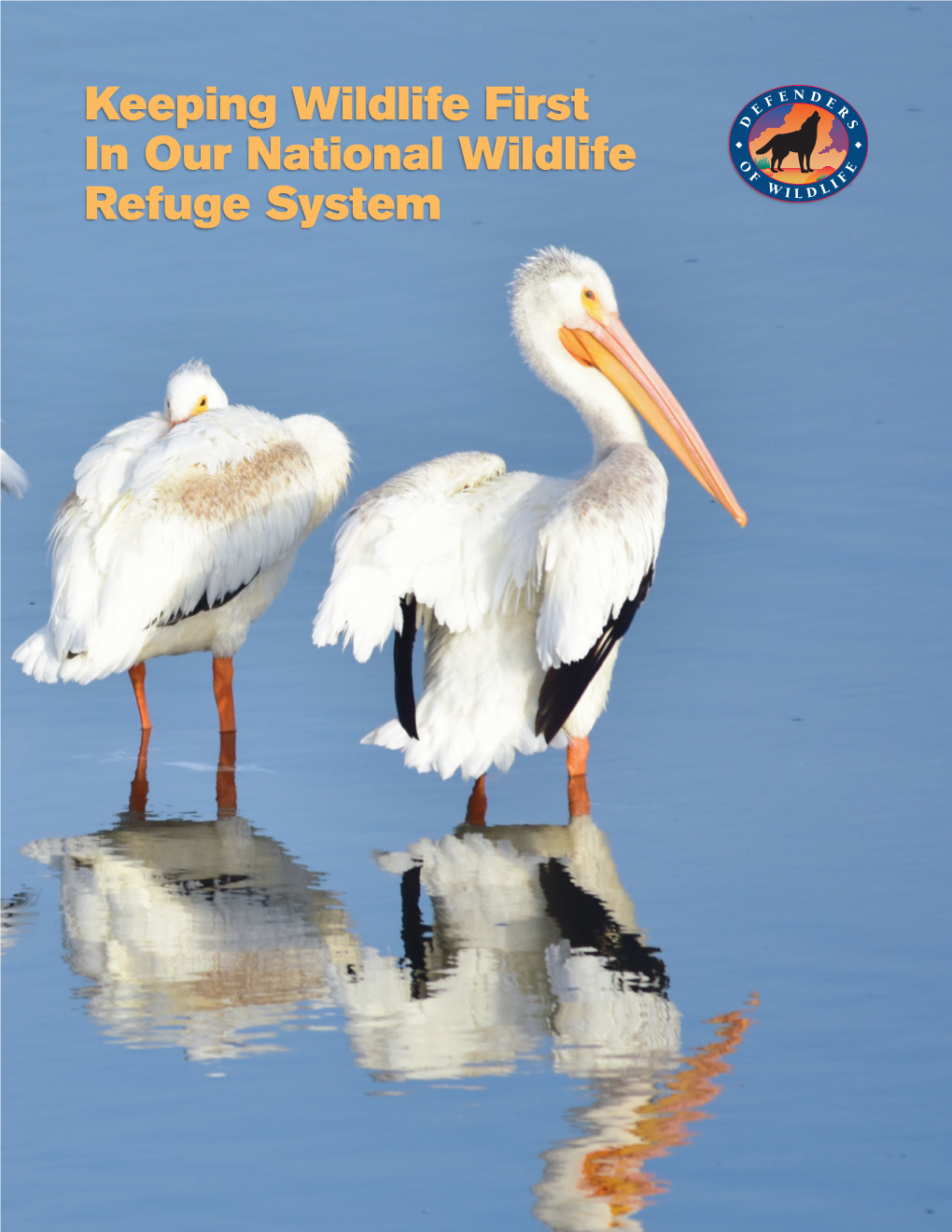 Keeping Wildlife First in Our National Wildlife Refuge System