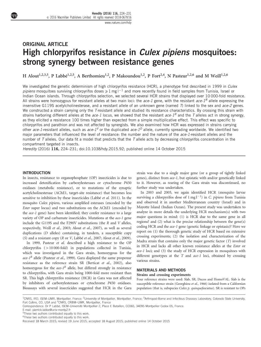 High Chlorpyrifos Resistance in Culex Pipiens Mosquitoes: Strong Synergy Between Resistance Genes