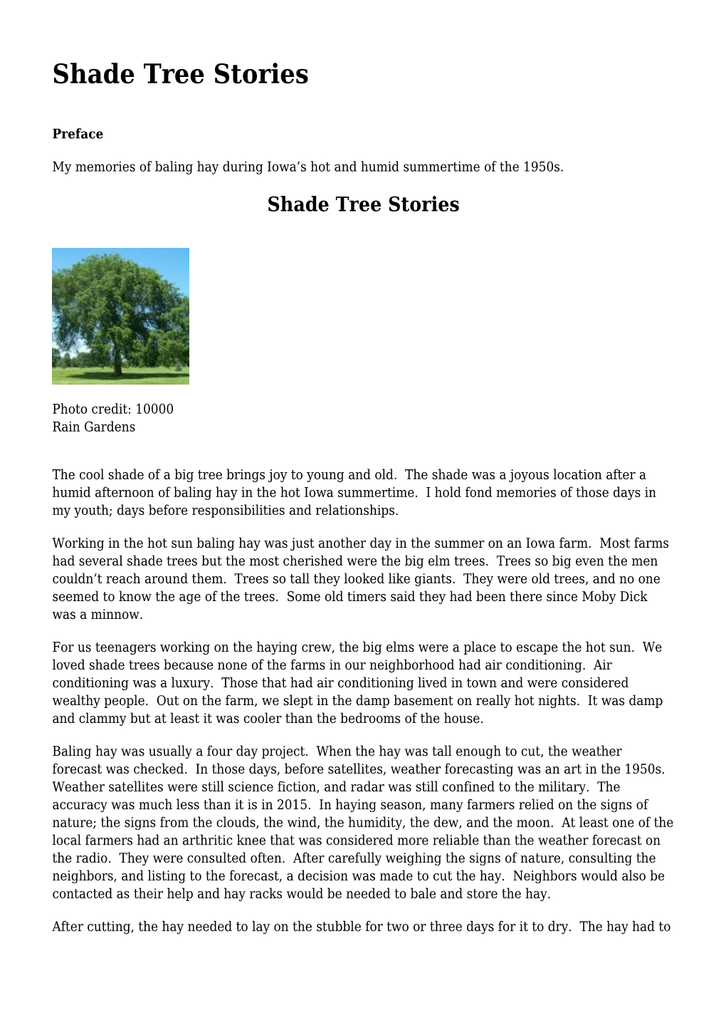 Shade Tree Stories,Fritz&#8217;S Youth