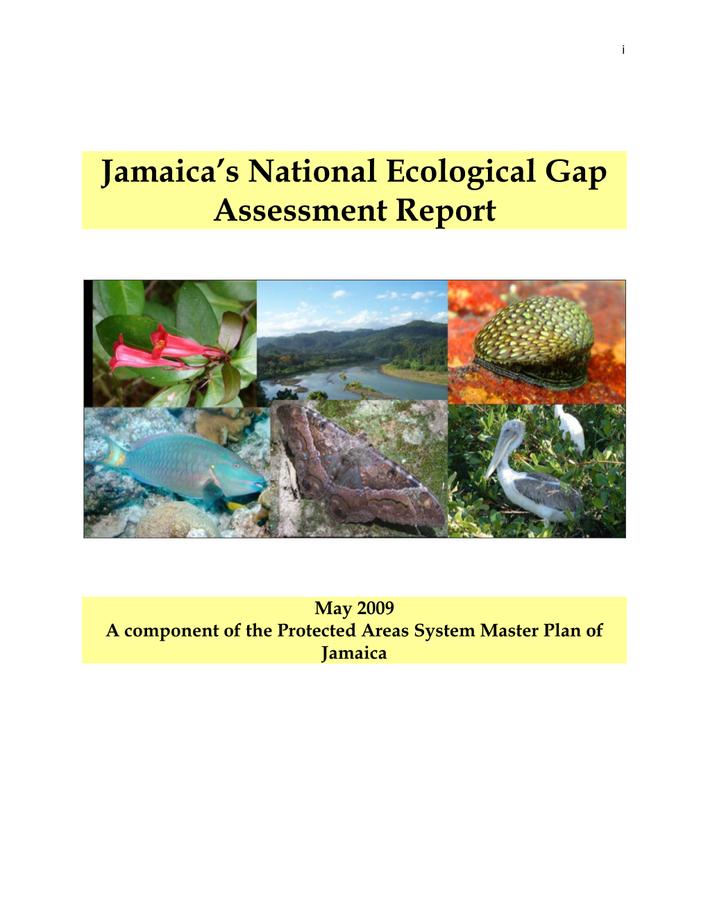 2009. Jamaica's National Ecological Gap Assessment Report. A