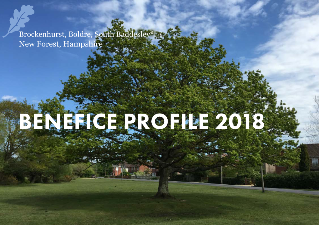 Benefice Profile 2018