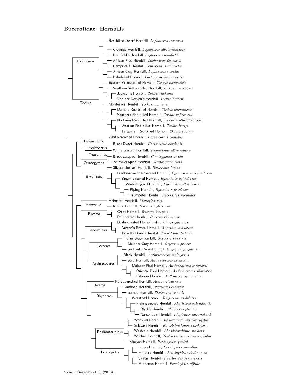 Bucerotidae.Pdf