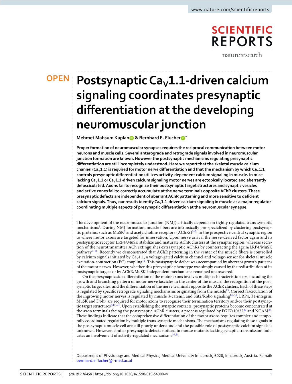 Postsynaptic Cav1.1-Driven Calcium Signaling Coordinates Presynaptic Diferentiation at the Developing Neuromuscular Junction Mehmet Mahsum Kaplan & Bernhard E