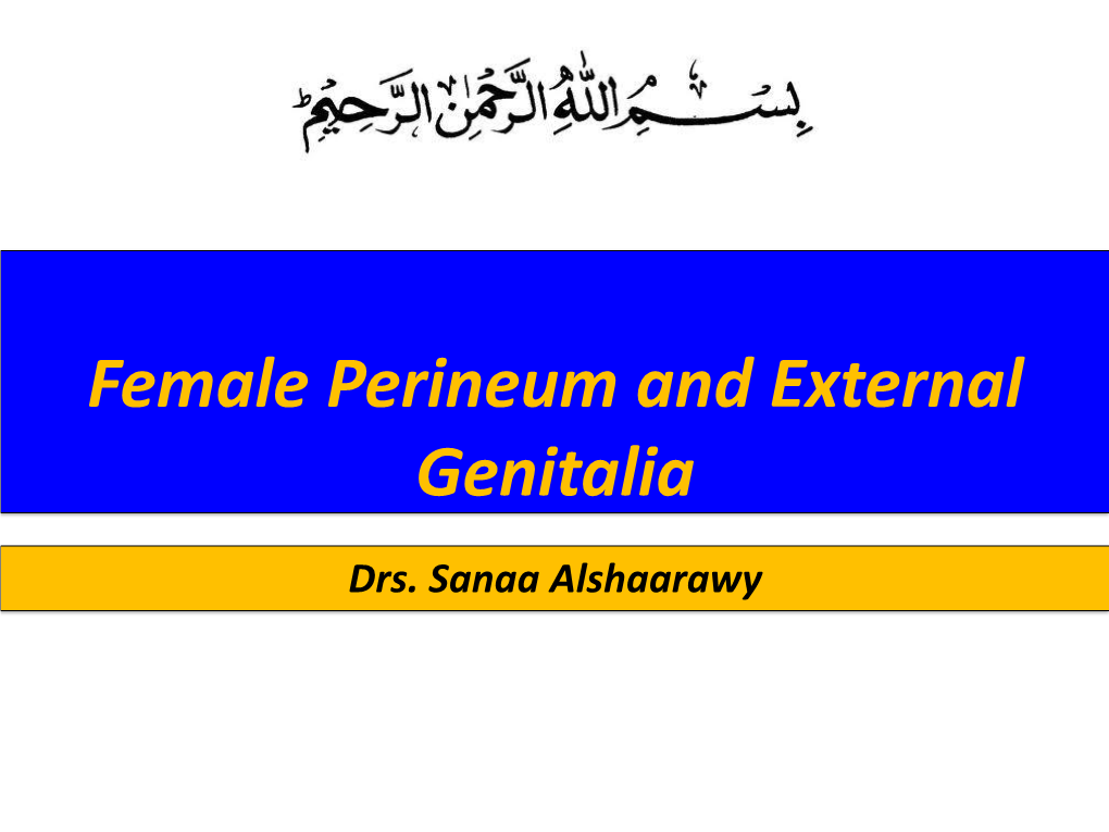 Female Perineum and External Genitalia