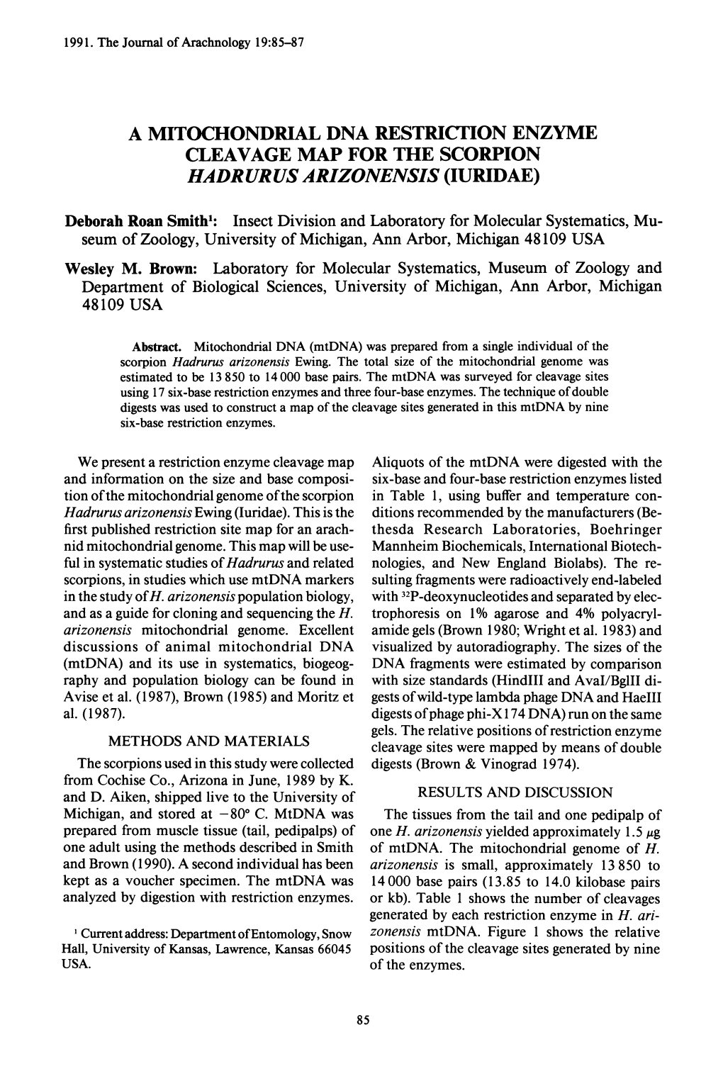 1991. the Journal of Arachnology 19:85-87 a MITOCHONDRIAL DNA