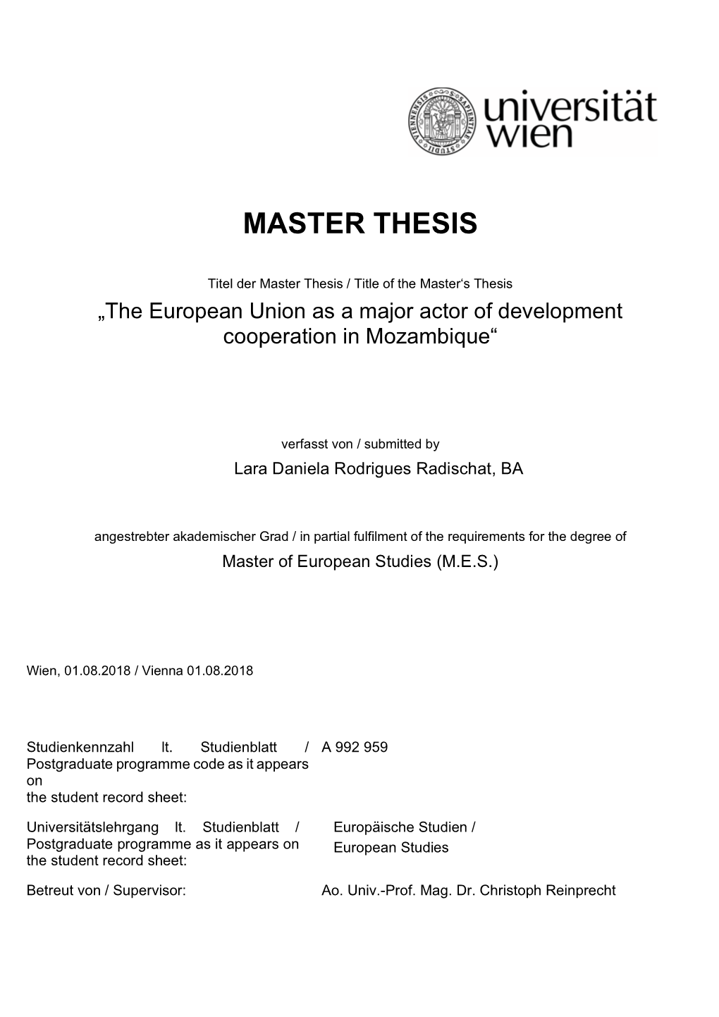 Master Thesis