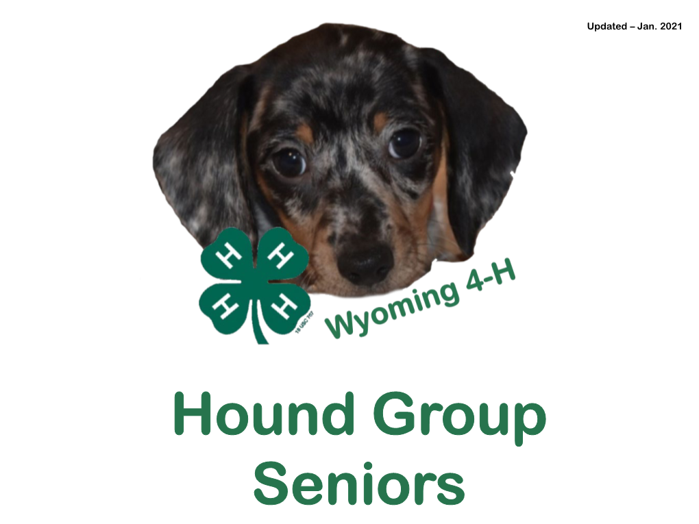 Seniors Hound Powerpoint