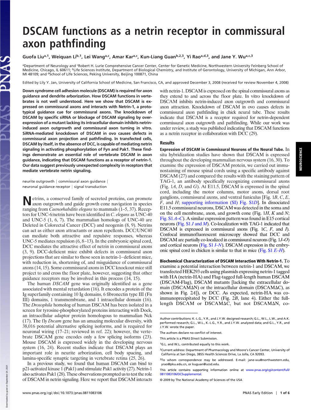 DSCAM Functions As a Netrin Receptor in Commissural Axon Pathfinding