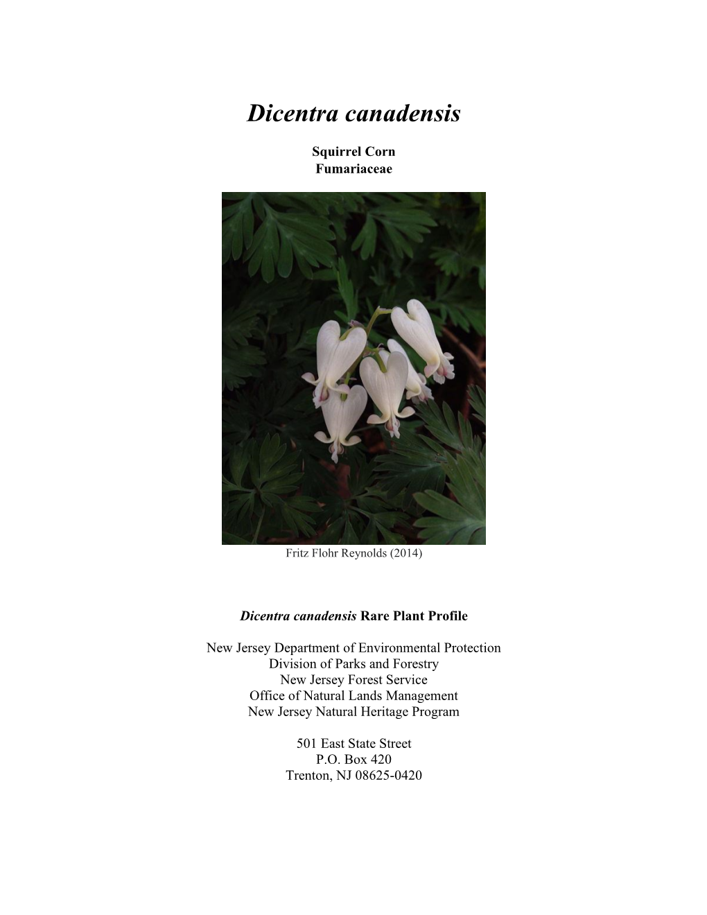 Dicentra Canadensis (Squirrel Corn).” 2014