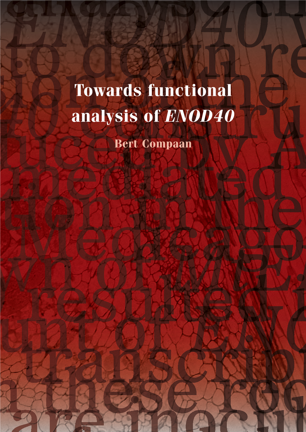 ENOD40 the We Used Rnai of Analysis Functional Towards to Down Regulate the Expressiontowards of Functional the Gene